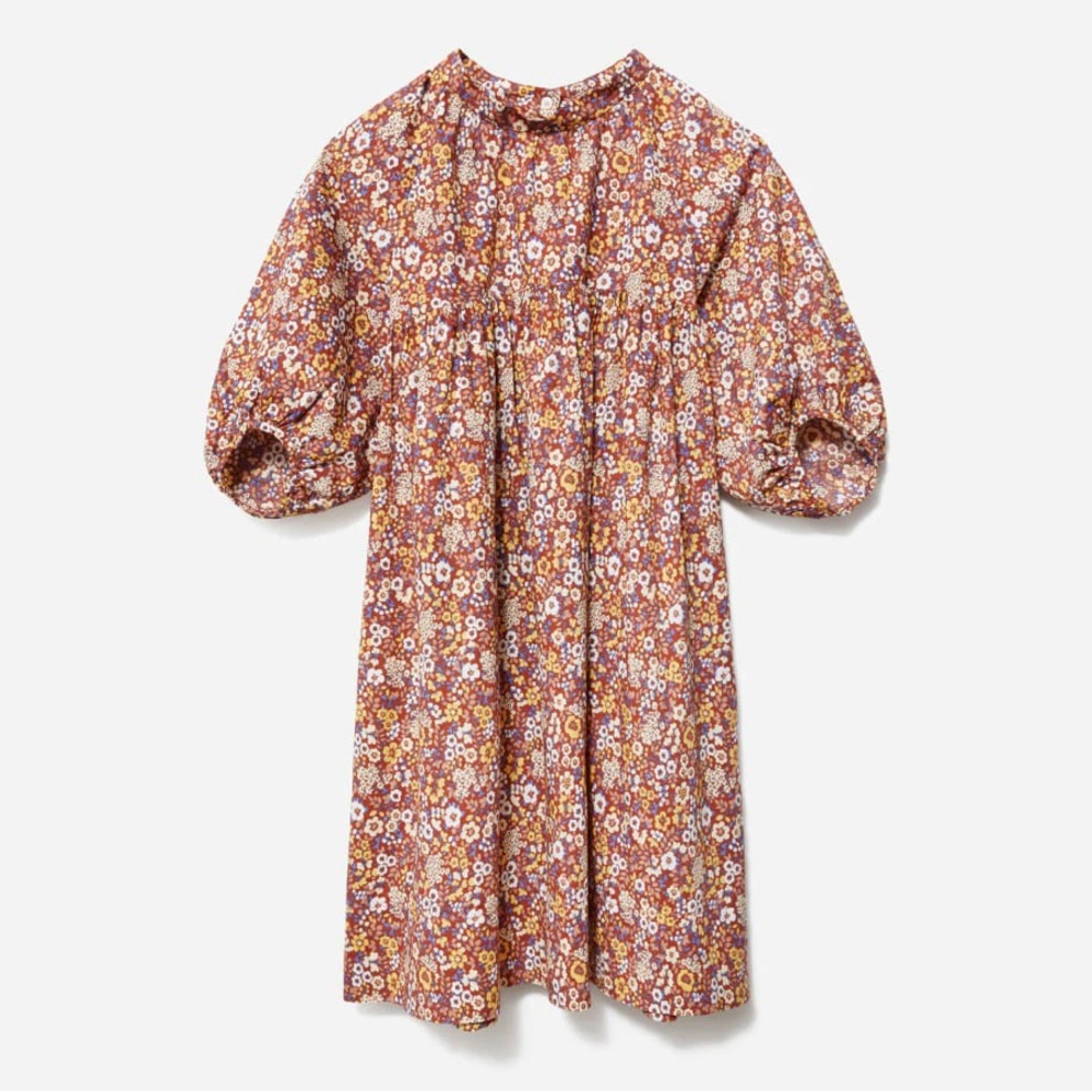 Everlane Floral Puff Sleeve Dress